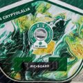 Надувная сап доска Pic Board Fantasy Green 11’6 с веслом