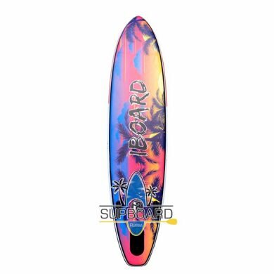 iboard-pro-12-6-palmy-sap-doska-s-veslom.jpg