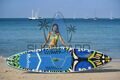 FunWater 11' (MySup, Feath-R-Light) Monkey