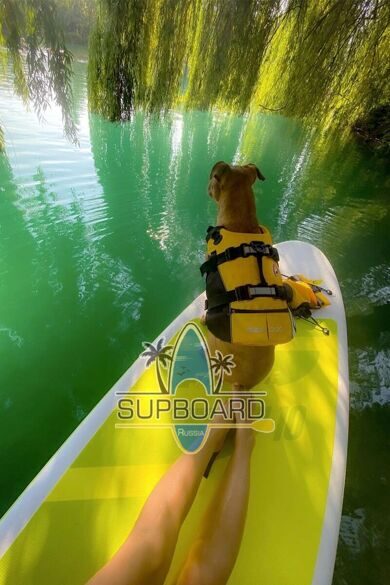sup-sea-breeze-hf.jpg